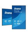 iiyama Monitor 65 '' LH6575UHS-B2AG,24/7,IPS,ANDROID.11,4K,  WiFi,         iiSignage2, FailOver, EShare, 24/7, full daisy chain - nr 20