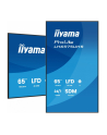 iiyama Monitor 65 '' LH6575UHS-B2AG,24/7,IPS,ANDROID.11,4K,  WiFi,         iiSignage2, FailOver, EShare, 24/7, full daisy chain - nr 3
