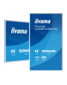 iiyama Monitor 65 '' LH6581UHSG-1AG 24/7,VA,ANDROID 14,4K, 2x10W, WiFi,    UCHWYT ŚCIENNY, 2xHDMI, USB-C, RJ45, IR, 2xUSB, WHITE - nr 31