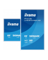 iiyama Monitor 65 '' LH6581UHSG-1AG 24/7,VA,ANDROID 14,4K, 2x10W, WiFi,    UCHWYT ŚCIENNY, 2xHDMI, USB-C, RJ45, IR, 2xUSB, WHITE - nr 36
