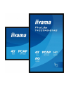 iiyama Monitor 43 cale T4329AS-B1AG VA,4K,HDMIx2,USB-C,RJ45,2x10W,WiFi,     System Android 14, Signal FailOver, Whiteboard, iiSignage (CMS), iiControl (DMS),   iiS - nr 24