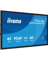 iiyama Monitor 43 cale T4329AS-B1AG VA,4K,HDMIx2,USB-C,RJ45,2x10W,WiFi,     System Android 14, Signal FailOver, Whiteboard, iiSignage (CMS), iiControl (DMS),   iiS - nr 25