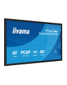iiyama Monitor 43 cale T4329AS-B1AG VA,4K,HDMIx2,USB-C,RJ45,2x10W,WiFi,     System Android 14, Signal FailOver, Whiteboard, iiSignage (CMS), iiControl (DMS),   iiS - nr 30