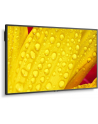 nec Monitor wielkoformatowy MultiSync M651-2 65 '' UHD 500cd/m2 24/7 - nr 18