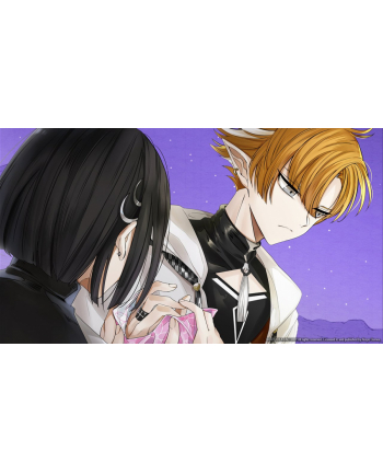 Dairoku Agents of Sakuratani (Gra NS)