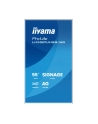 iiyama - nr 11