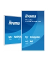 iiyama - nr 38