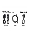 iiyama - nr 49