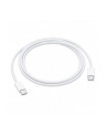 Apple MW493ZM/A USB-C 1m - nr 2