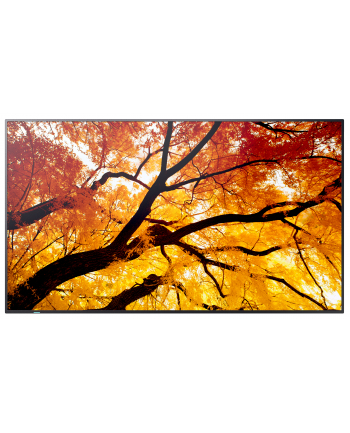 sharp Monitor wielkoformatowy MultiSync M552 55 '' 550cd/m2 24/7 nr 1