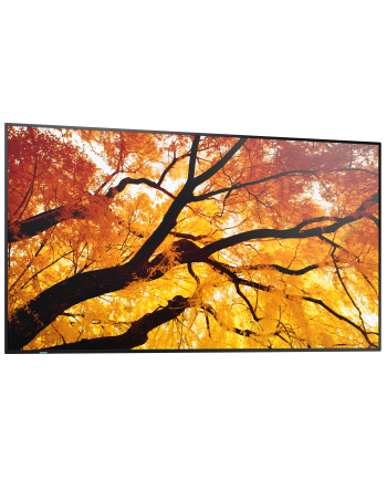 sharp Monitor wielkoformatowy MultiSync M552 55 '' 550cd/m2 24/7 nr 2