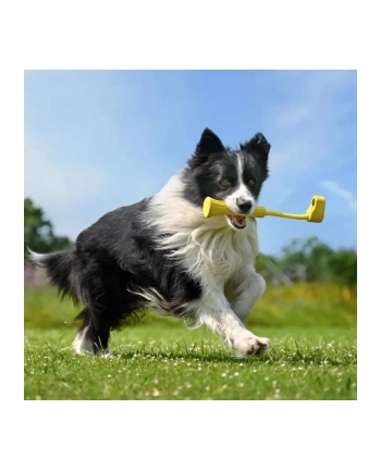 Insta360 GO 3 Fetch Stick