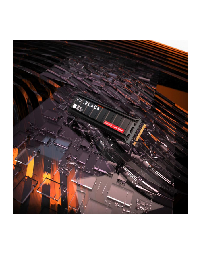 SSD WD Black SN8100 w/o HS 1TB  WDS100T1X0M główny