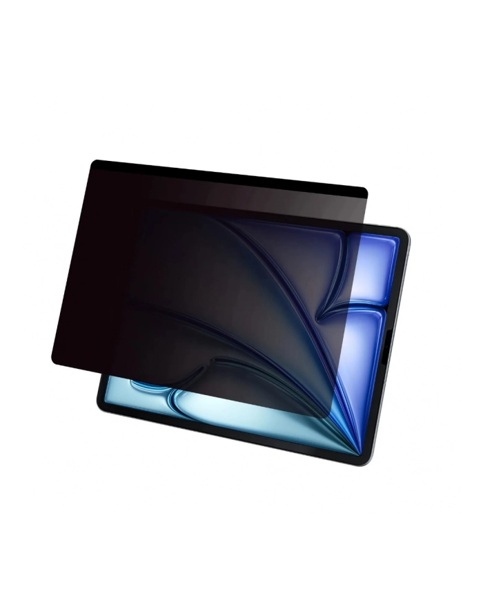 DICOTA Privacy Filter 2-way magnetic Apple iPad Pro M4 11inch landscape główny