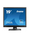 Iiyama 19'' ProLite E1980S-B1 - nr 1