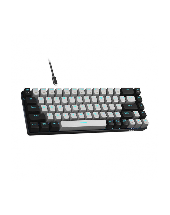 Klawiatura Magegee Mk-Box Czarno-Szara (71604) główny