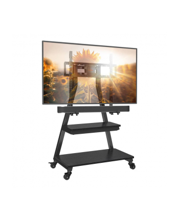 Perlegear Uchwyt Do Tv 43-80'' Pgfs08-Us (69342)