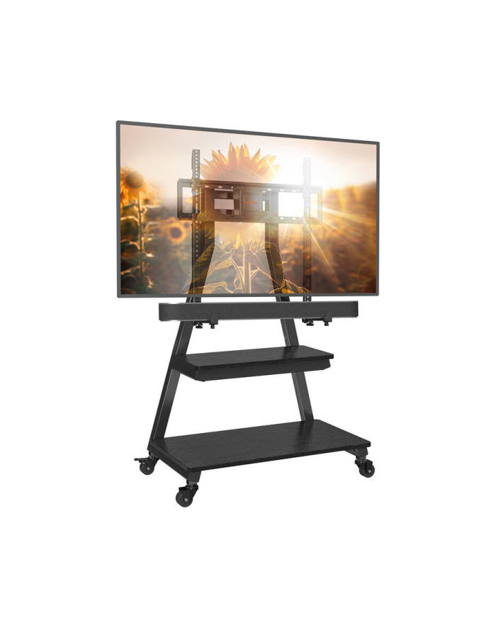 Perlegear Uchwyt Do Tv 43-80'' Pgfs08-Us (69342) główny