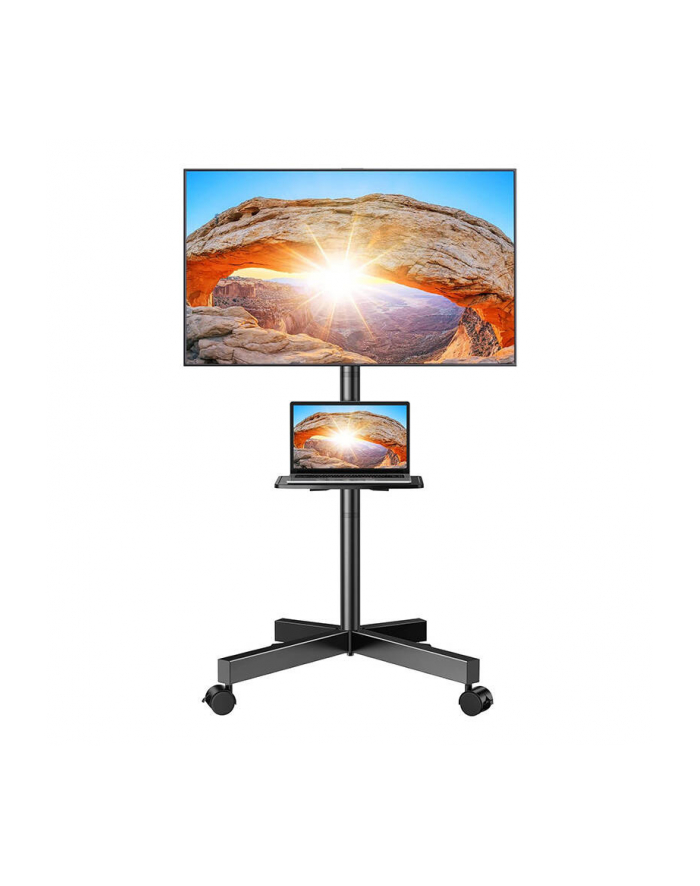 Perlegear Uchwyt Do Tv 23-60'' Pgtvmc06 (69341) główny
