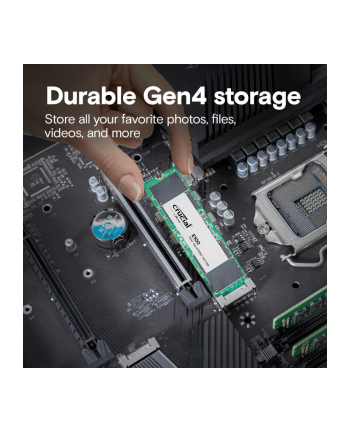 crucial Dysk SSD E100 2TB M.2 NVMe 2280 PCIe 4.0 5000/4500 MB/s