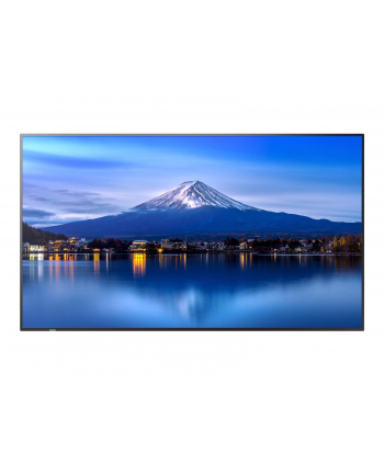 sharp Monitor wielkoformatowy MultiSync P656 65 '' UHD 700cd/m2 24/7 nr 1