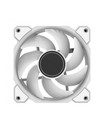 Darkflash DR08 120mm Biały (DR08WHITE)
