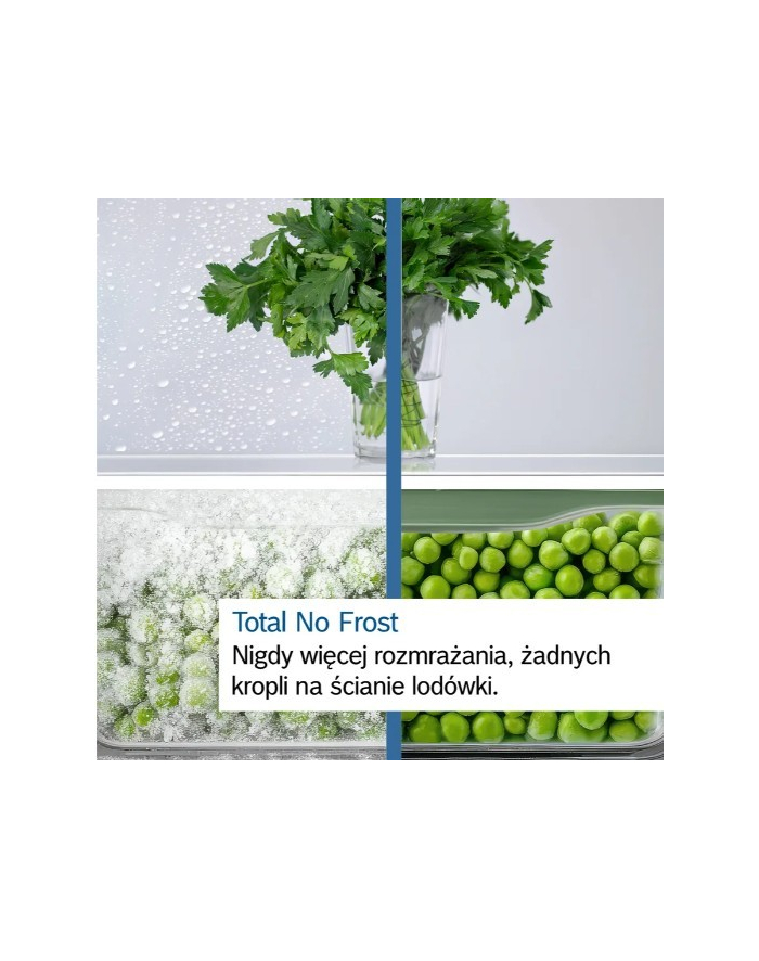 bosch Chłodziarko-zamrażarka KGN33NSDB total no frost główny
