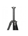 Sirui Sportich SP124 + B5X Carbon - nr 8