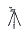 Sirui Sportich SP324 + BH-10 Carbon - nr 1