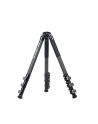 Sirui Sportich SP324 + BH-10 Carbon - nr 7
