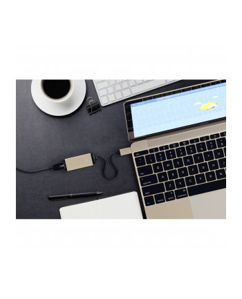Satechi Type-C to Ethernet Adapter Gold nr 2