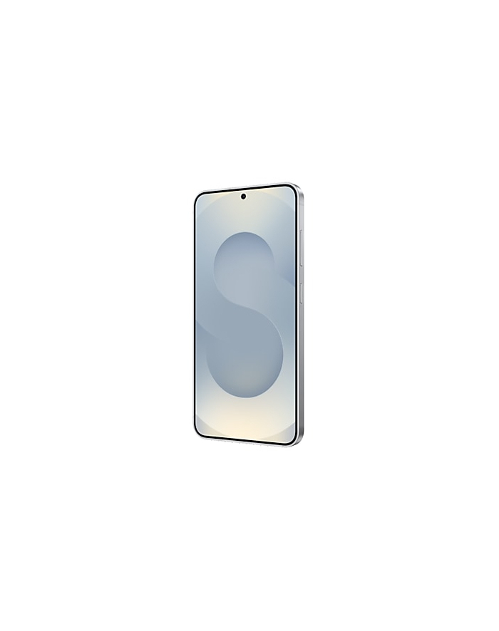 Samsung Galaxy S25 128GB Enterprise Edition Silver Shadow główny