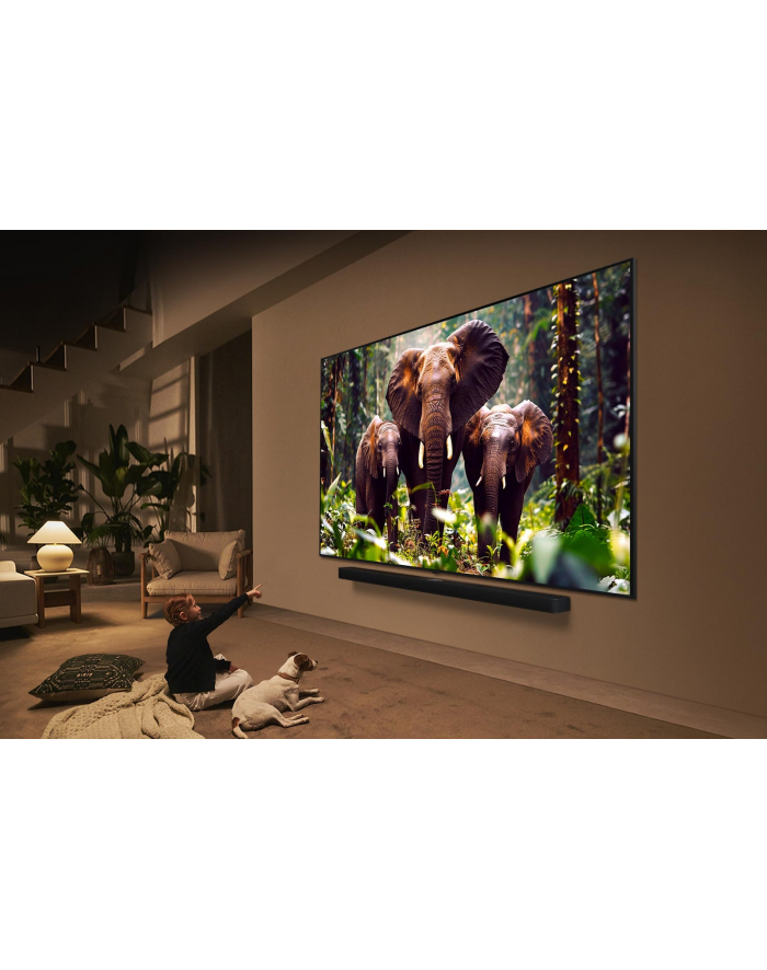 LG 55QNED85A6C.AEU główny