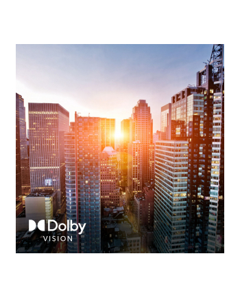 Panasonic TB-65W61AEZ czarny