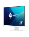 Eizo 24,1'' FlexScan EV2410R WT - nr 34