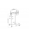 Uchwyt Equip (650632) - nr 12