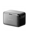 EcoFlow Glacier Classic 55L - nr 22