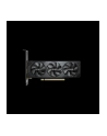 gigabyte Karta graficzna GeForce RTX 5050 low profile OC 8GB GDDR6 128BIT 2DP/2HDMI - nr 18