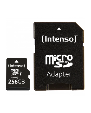 Intenso Microsd 256GB Uhs-I Perf Cl10| Performance (3424492)