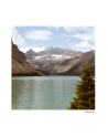 Harman Phoenix Colour 200 II 135/36 - nr 5
