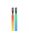 Philips USB-C to USB-C Party Cable 1m - nr 1