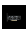 gigabyte Karta graficzna GeForce RTX 5050 low profile OC 8GB GDDR6 128BIT 2DP/2HDMI - nr 35