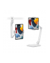 Twelve South HoverBar Duo Mount Desk/Clamp Foldable Stand White - nr 6