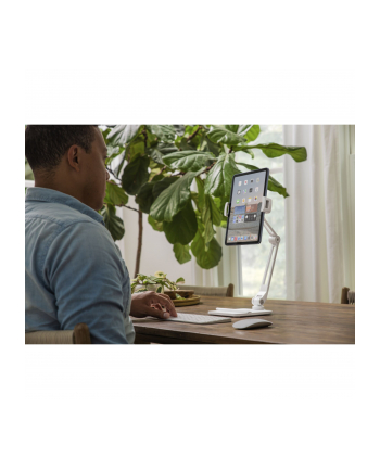 Twelve South HoverBar Duo Mount Desk/Clamp Foldable Stand White