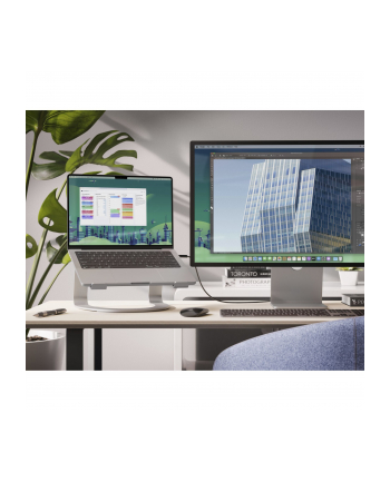 Twelve South Curve SE Aluminum Laptop Stand non-adjustable