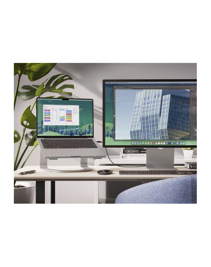 Twelve South Curve SE Aluminum Laptop Stand non-adjustable główny