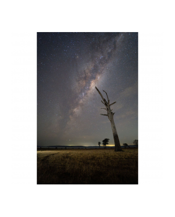 Samyang AF 2,8/16 P FE    Sony E