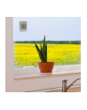 TFA WINDOO 30.1067.15 digitales Fensterthermometer - nr 6