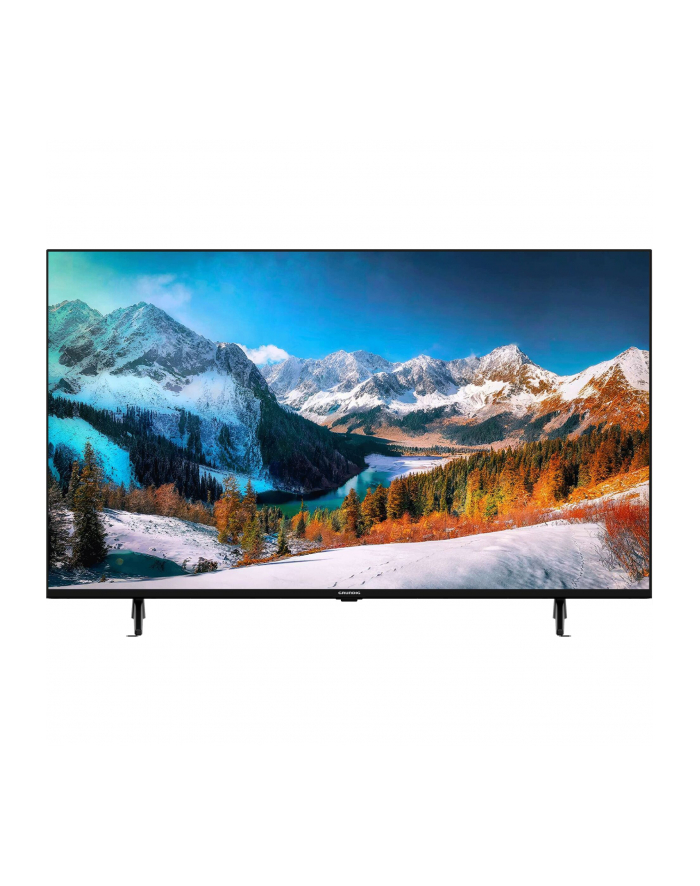 Grundig 65 VCE 223 główny