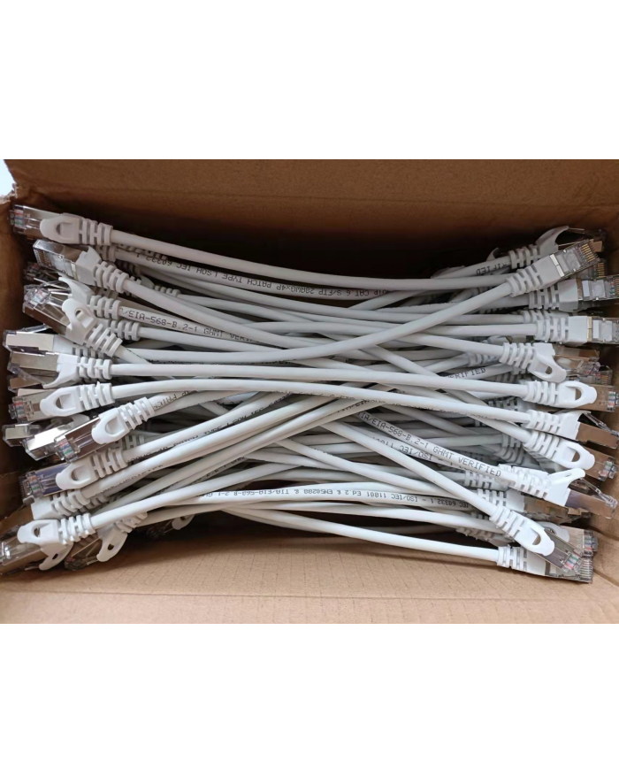 Equip Patch Cat6 100x/Box S/FTP 2xRJ45 0.25m biały LSZH (635513) główny
